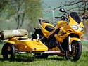 triumph_sprint_rs_lotta
